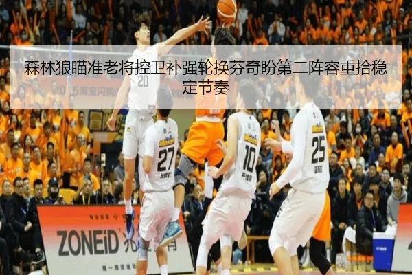 森林狼瞄准老将控卫补强轮换芬奇盼第二阵容重拾稳定节奏